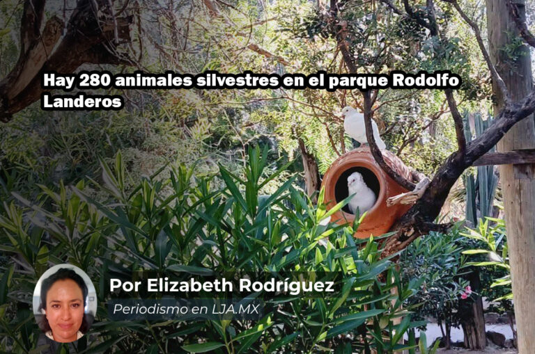 Hay 280 animales silvestres en el parque Rodolfo Landeros en Aguascalientes