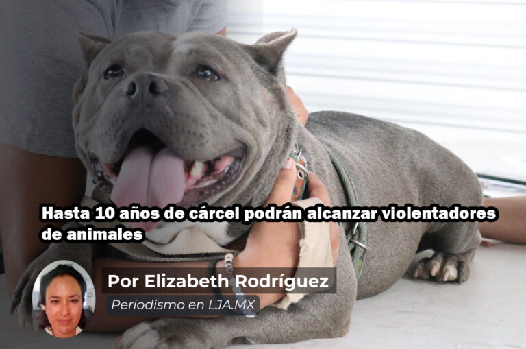 Hasta 10 años de cárcel podrán alcanzar violentadores de animales en Aguascalientes