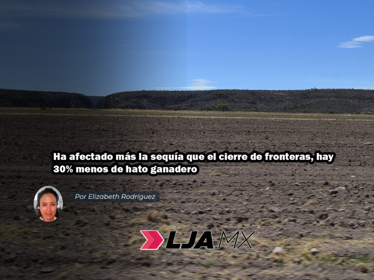 Ha afectado más la sequía que el cierre de fronteras, hay 30% menos de hato ganadero
