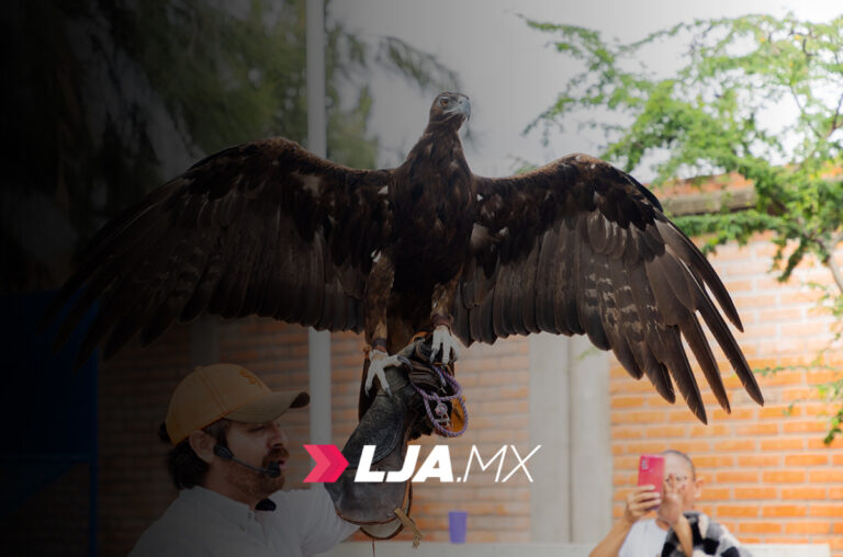 Para fomentar la conciencia ambiental, aves rapaces visitan primaria en Jesús María