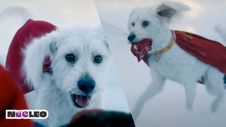 ‘Superman’ incrementa en más del 500% la adopción de perros gracias a Krypto