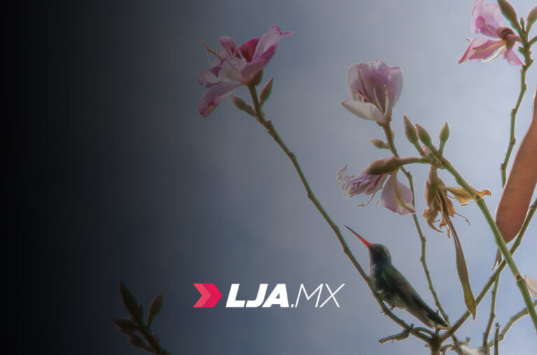 Bióloga de la UAA destaca el valor educativo de los festivales de aves