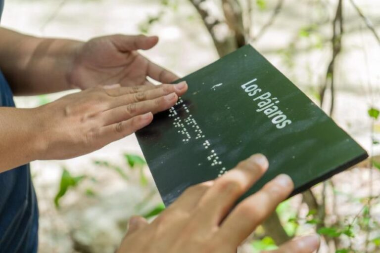 DIF Yucatán acerca a personas con discapacidad visual a riqueza natural del Jardín Botánico del CICY