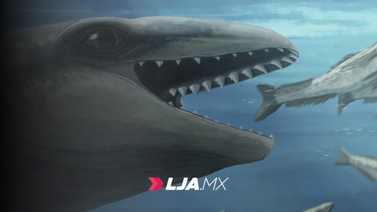 Científicos descubren una ballena antigua con cara de Pokémon y mordida de depredador