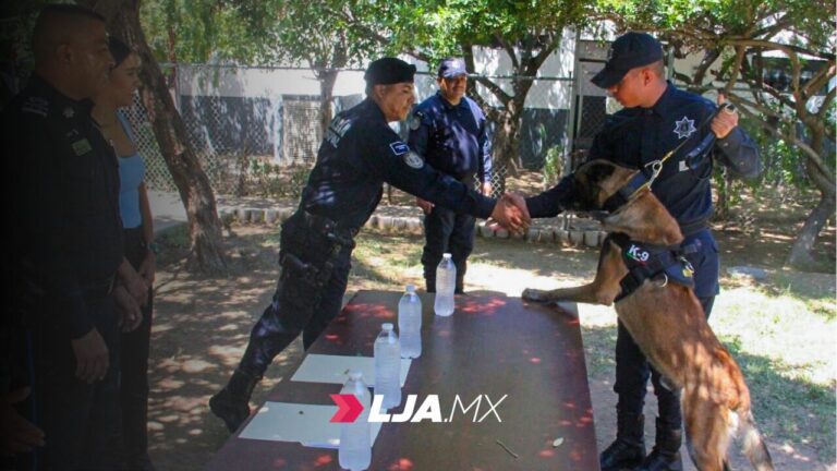Grupo K9 de la policía municipal de Aguascalientes obtiene certificación en detección de aromas