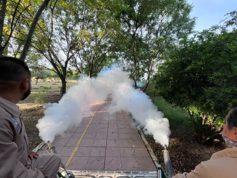 SS de Guanajuto hace frente al dengue con fumigaciones en Jaral del Progreso, Salamanca, Valle de Santiago y Uriangato.