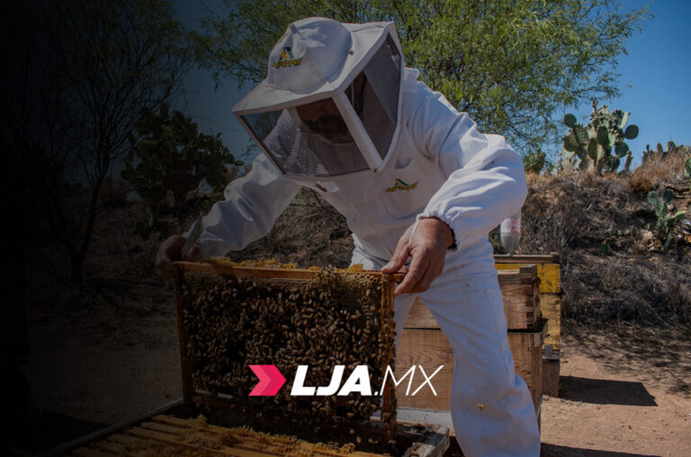 Gobierno de Aguascalientes impulsa la exportación de productos agroalimentarios