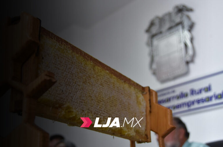 Aguascalientes será sede del Primer Encuentro Apícola Nacional este 8, 9 y 10 de agosto