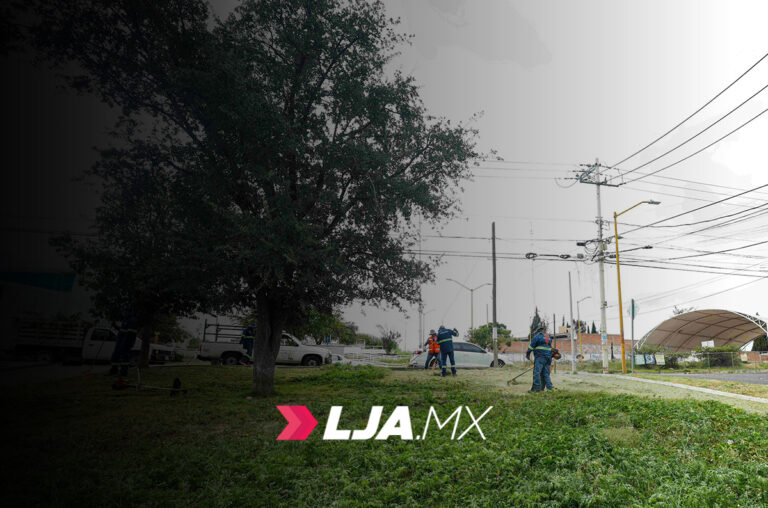 Municipio de Aguascalientes realiza megaoperativo de limpieza en VNSA