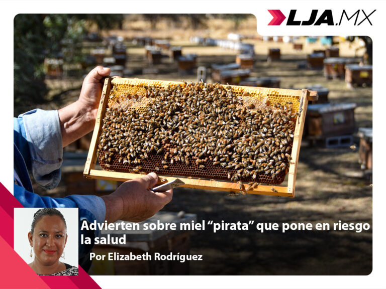 Advierten sobre miel “pirata” que pone en riesgo la salud en Aguascalientes