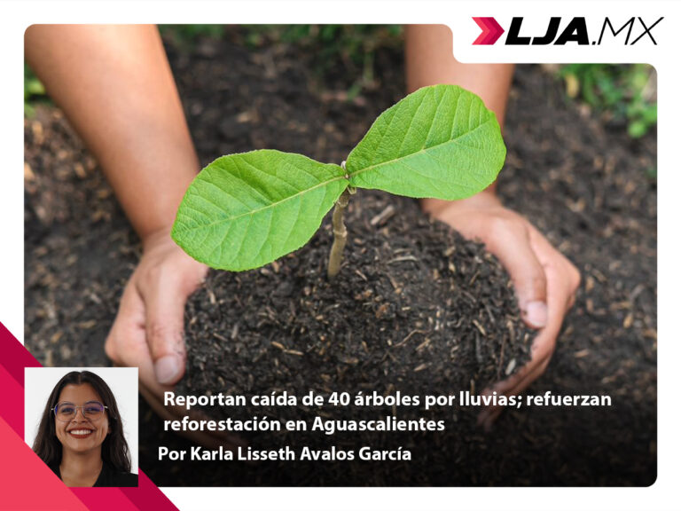 Reportan caída de 40 árboles por lluvias; refuerzan reforestación en Aguascalientes