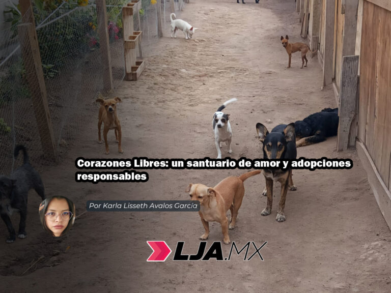 Corazones Libres: un santuario de amor y adopciones responsables en Aguascalientes