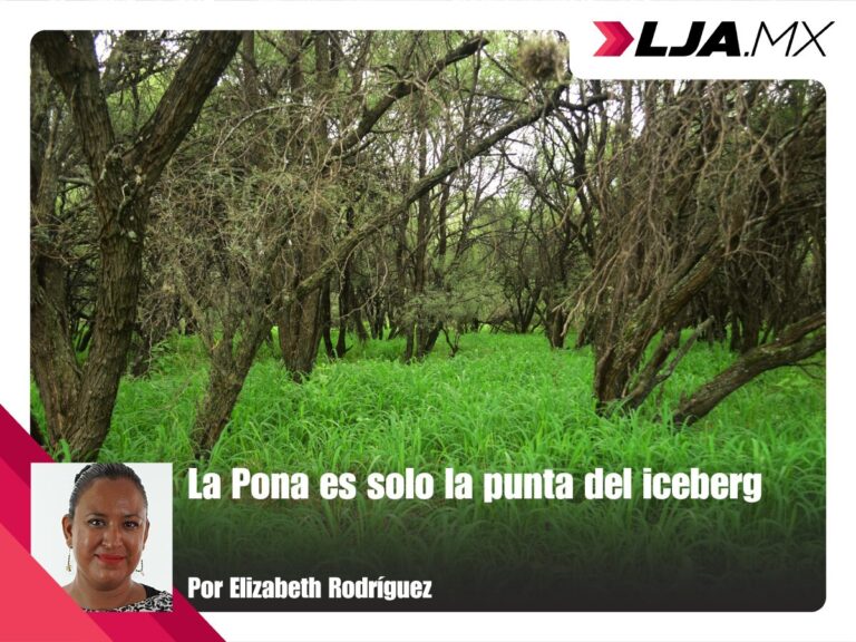 La Pona es solo la punta del iceberg