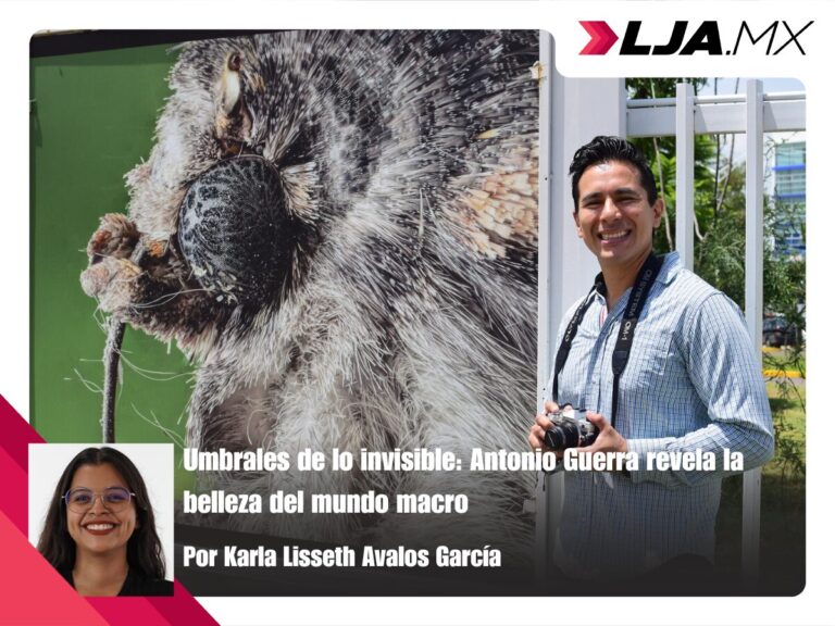 Umbrales de lo invisible: Antonio Guerra revela la belleza del mundo macro