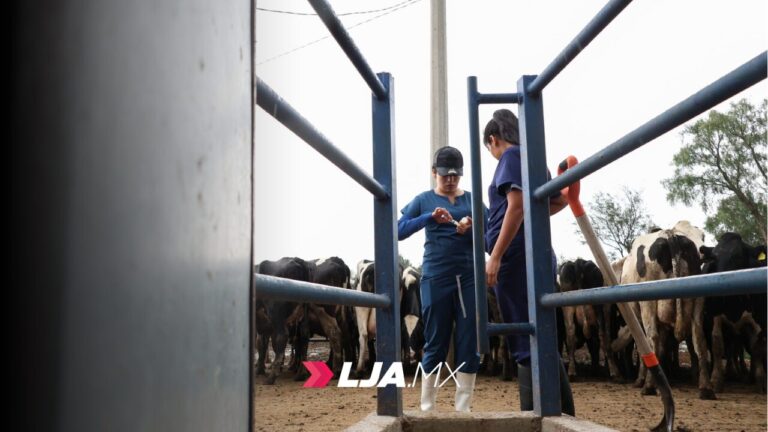 Leonardo Montañez inaugura segunda etapa de la clínica veterinaria ambulatoria 