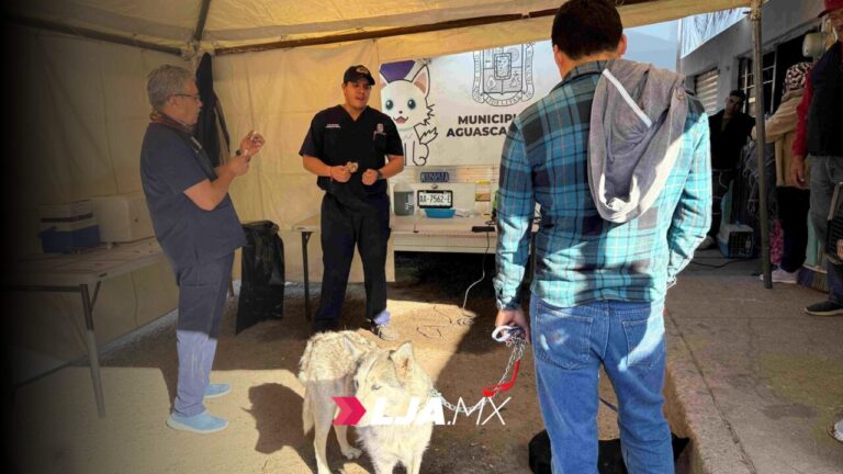 Municipio llevará el Quirófano Veterinario Móvil a Jaltomate y Real de Haciendas 