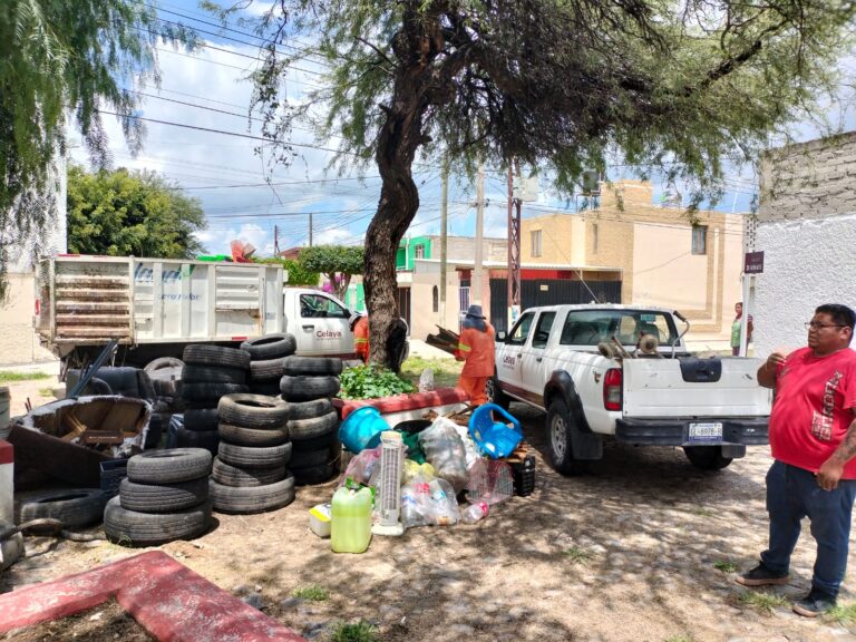 SSG recaba más de 6 toneladas en acciones antidengue en Celaya, Guanajuato