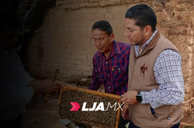 Agricultura impulsa el reemplazo de abejas reina para controlar la africanización y fortalecer la apicultura