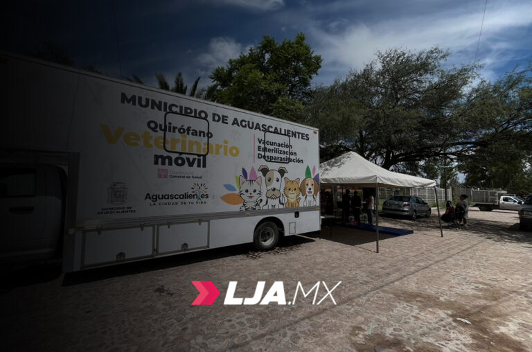 Municipio de Aguascalientes anuncia nueva jornada de esterilización canina y felina