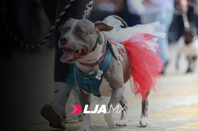 La gobernadora de Aguascalientes Teresa Jiménez encabezó el desfile cívico-militar por la Independencia de México