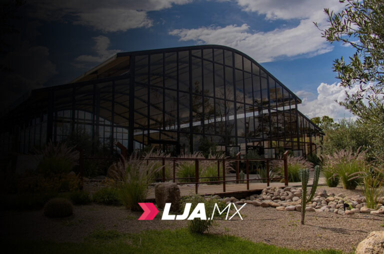 Viñedos Tierra Tinta anuncia proyecto de expansión en Aguascalientes