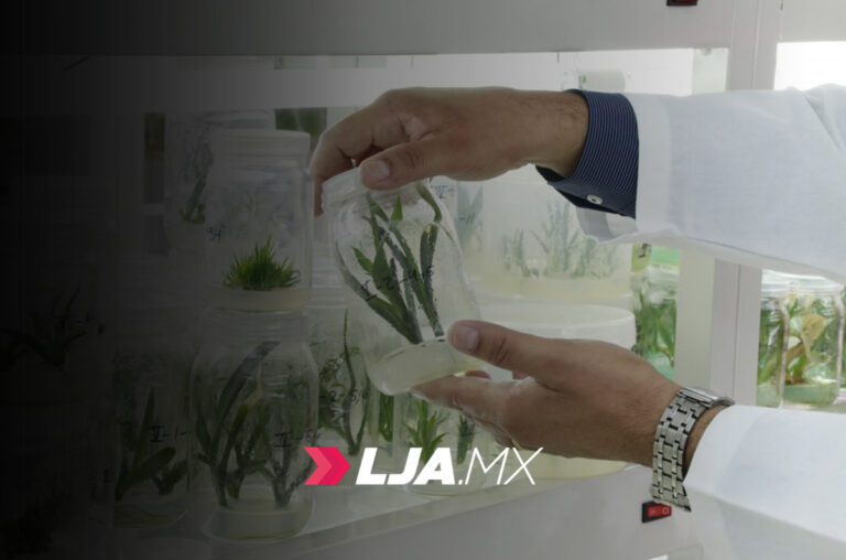 UAA celebrará el aniversario de la Licenciatura en Biotecnología