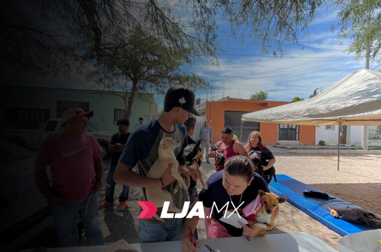Abren nuevas fechas para esterilizaciones gratuitas para caninos y felinos en Aguascalientes