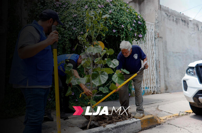 Municipio de Aguascalientes plantó el ejemplar número 2 mil del “Árbol de mi Casa”