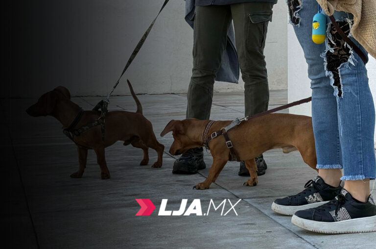 Quirófano Veterinario Móvil en Morelos I y Pensadores Mexicanos en Aguascalientes