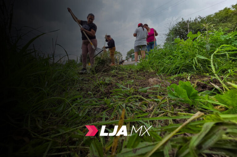 Más de 14 mil familias se han visto beneficiadas con el Programa de Empleo Temporal en Aguascalientes