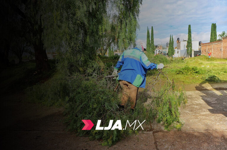 Jesús María refuerza acciones de desmalezado para garantizar espacios más seguros