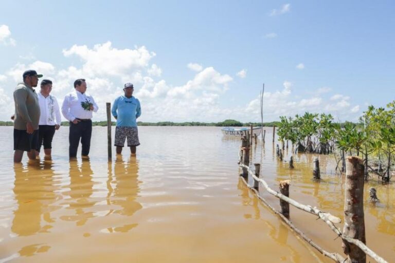 Yucatán lanza estrategia integral para restaurar ecosistemas costeros