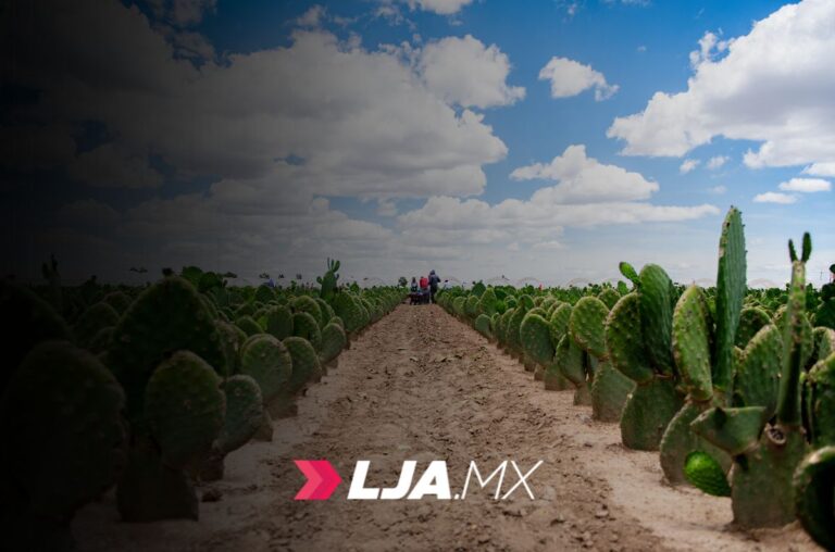 El campo, motor del desarrollo económico en Aguascalientes