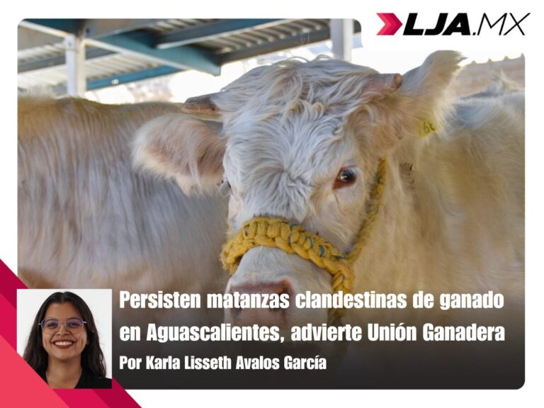 Persisten matanzas clandestinas de ganado en Aguascalientes, advierte Unión Ganadera