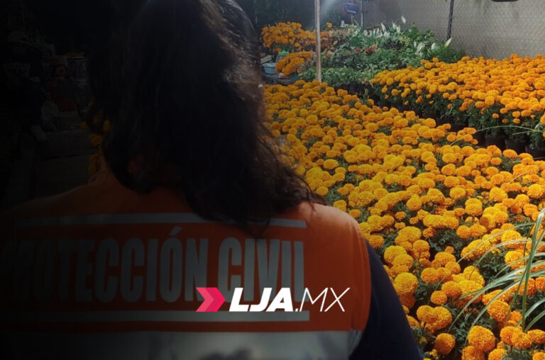 Arrancará la instalación del tradicional Tianguis de los Muertitos 2025 en Aguascalientes