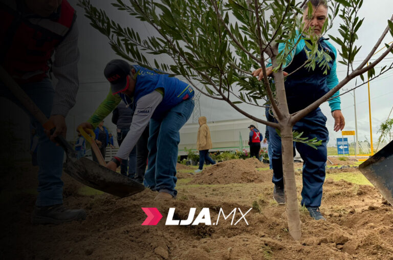 Más de 125 mil árboles se plantaron en Aguascalientes este año