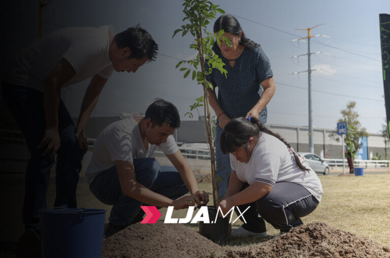 Ayuntamiento de Aguascalientes realiza nueva jornada de arborización