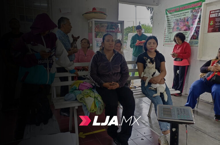 Llevarán al Fraccionamiento Villa Loma Dorada jornada de esterilización canina y felina gratuita