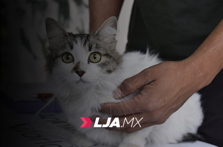 Inauguración del Hospital Veterinario Municipal será el 3 de noviembre en Aguascalientes