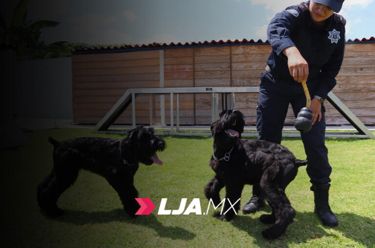 Policía Estatal de Aguascalientes presenta a sus nuevos elementos de K9