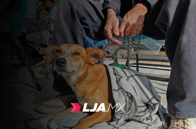 Se realizarán esterilizaciones gratuitas en el Barrio de La Purísima en Aguascalientes