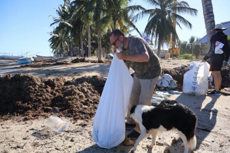 Comunidad, organizaciones civiles y autoridades se unen de nuevo para proteger la costa de Yucatán