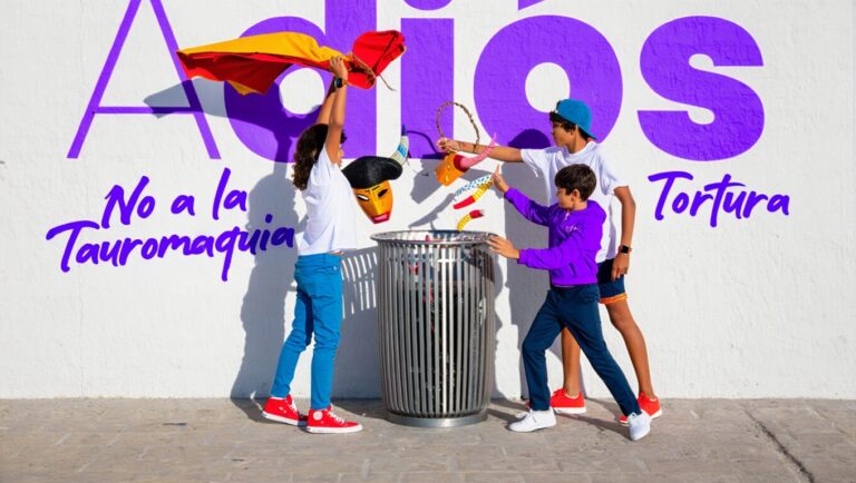 ¿Por qué la tauromaquia representa un retroceso para la sociedad?