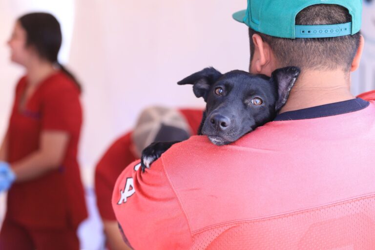 ISSEA anuncia nuevas jornadas de esterilización caninas y felinas en Aguascalientes