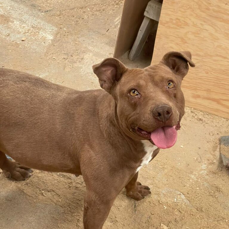 Historias que transforman vidas en Aguascalientes