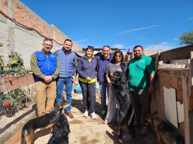 Bienestar y protección animal desde Aguascalientes