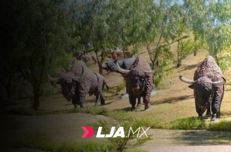 Atrévete a explorar los secretos de El Caracol en el parque El Cedazo en Aguascalientes