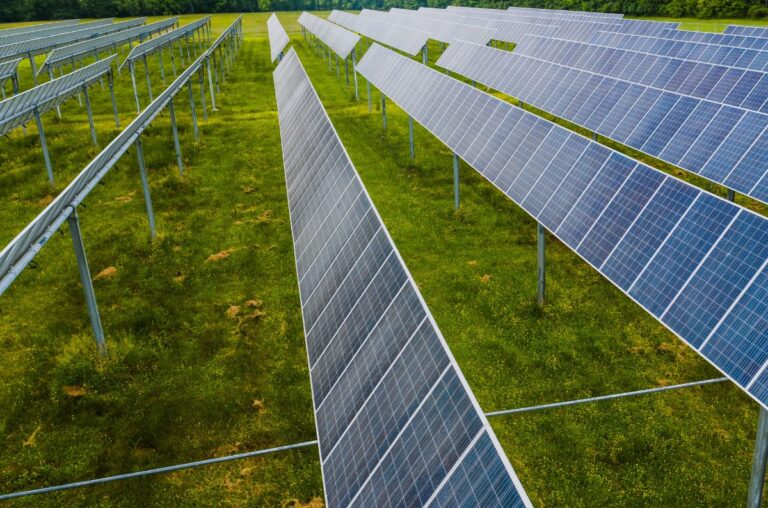 Productores de Aguascalientes aprovechan energías limpias para reducir costos