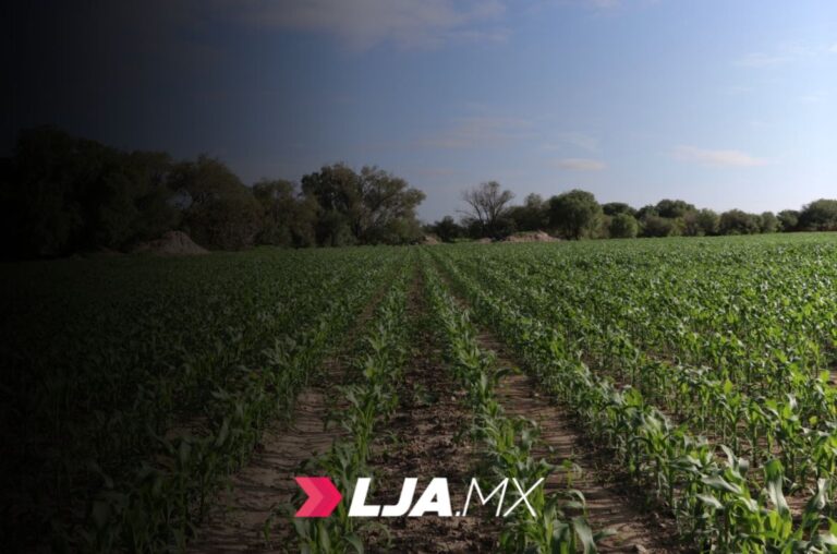 Se han entubado mil 051 metros de la línea principal de conducción para el riego en Aguascalientes