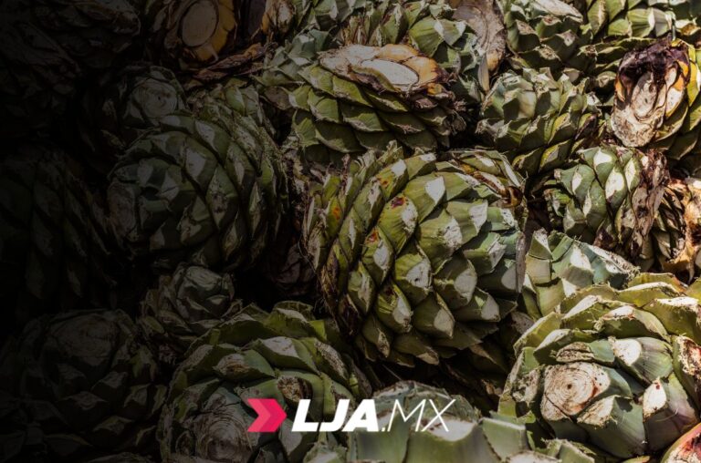 Aguascalientes impulsa la nueva imagen de sus mezcales locales